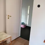 Sloneczne Srodmiescie Apartman