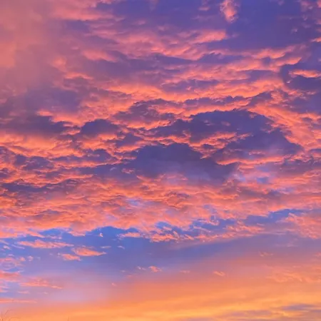 Sloneczne Srodmiescie * カトヴィツェ