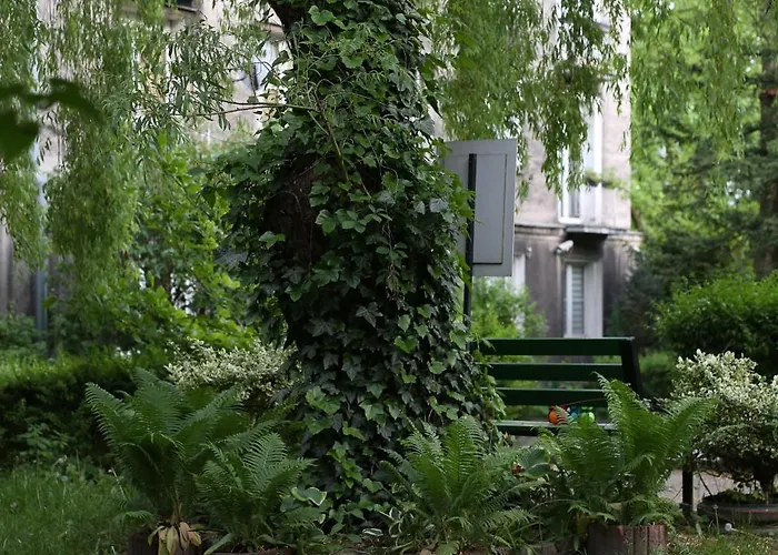 Sloneczne Srodmiescie Апартаменты